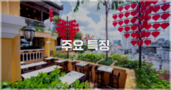 ✨ 주요 특징