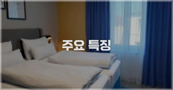✨ 주요 특징