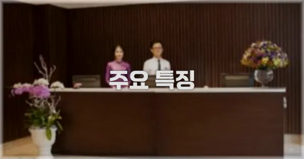 ✨ 주요 특징