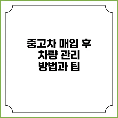 중고차 매입 후 차량 관리 방법과 팁