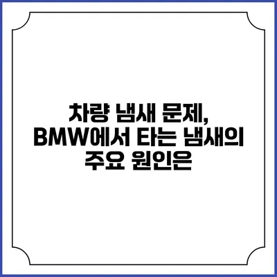 차량 냄새 문제, BMW에서 타는 냄새의 주요 원인은?