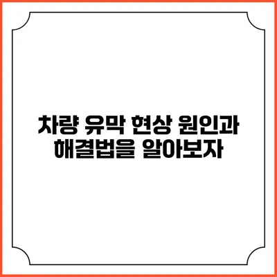 차량 유막 현상: 원인과 해결법을 알아보자
