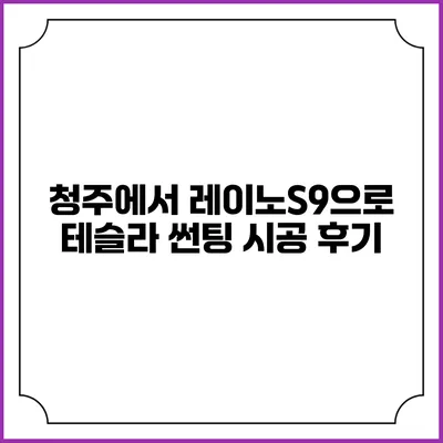 청주에서 레이노S9으로 테슬라 썬팅 시공 후기
