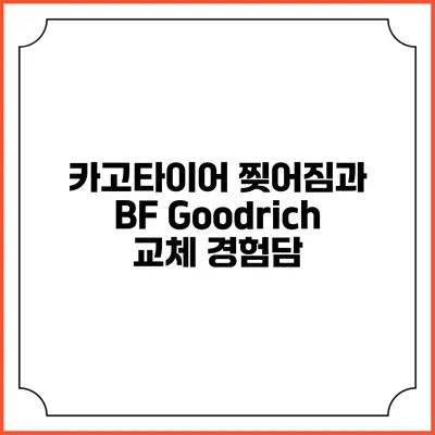 카고타이어 찢어짐과 BF Goodrich 교체 경험담