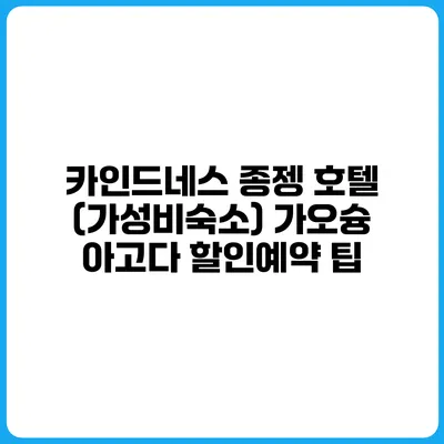 카인드네스 종젱 호텔 (가성비숙소) 가오슝 아고다 할인예약 팁