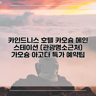 카인드니스 호텔 카오슝 메인 스테이션 (관광명소근처) 가오슝 아고다 특가 예약팁