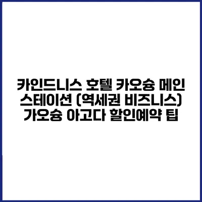 카인드니스 호텔 카오슝 메인 스테이션 (역세권 비즈니스) 가오슝 아고다 할인예약 팁