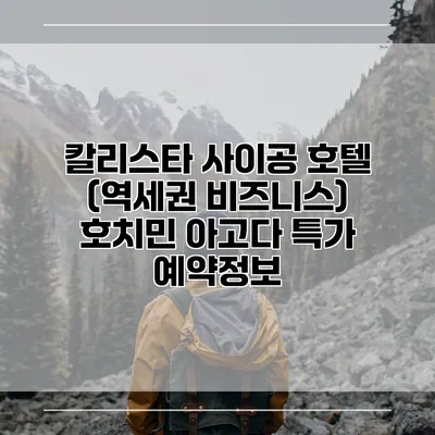 칼리스타 사이공 호텔 (역세권 비즈니스) 호치민 아고다 특가 예약정보