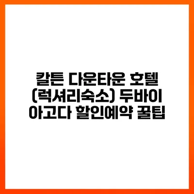 칼튼 다운타운 호텔 (럭셔리숙소) 두바이 아고다 할인예약 꿀팁
