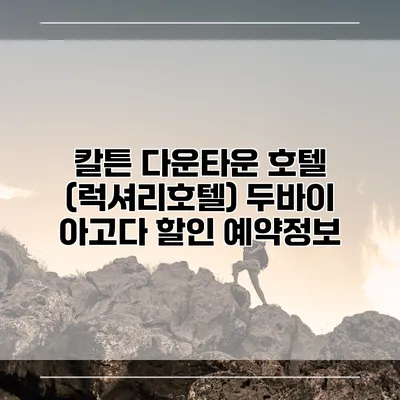 칼튼 다운타운 호텔 (럭셔리호텔) 두바이 아고다 할인 예약정보