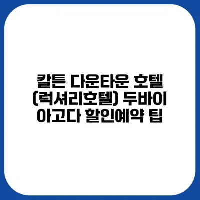칼튼 다운타운 호텔 (럭셔리호텔) 두바이 아고다 할인예약 팁