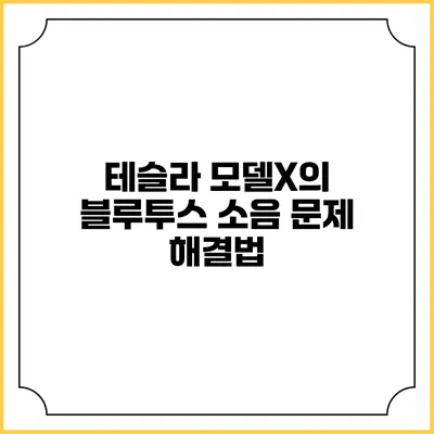 테슬라 모델X의 블루투스 소음 문제 해결법