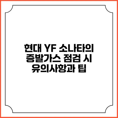 현대 YF 소나타의 증발가스 점검 시 유의사항과 팁