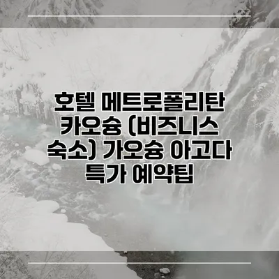 호텔 메트로폴리탄 카오슝 (비즈니스 숙소) 가오슝 아고다 특가 예약팁