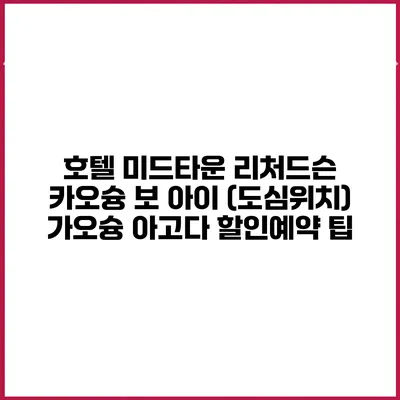 호텔 미드타운 리처드슨 카오슝 보 아이 (도심위치) 가오슝 아고다 할인예약 팁