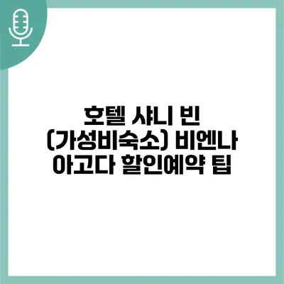 호텔 샤니 빈 (가성비숙소) 비엔나 아고다 할인예약 팁