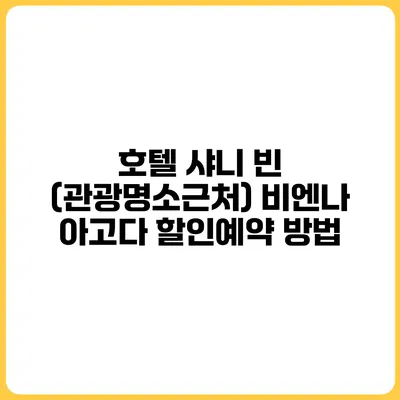 호텔 샤니 빈 (관광명소근처) 비엔나 아고다 할인예약 방법