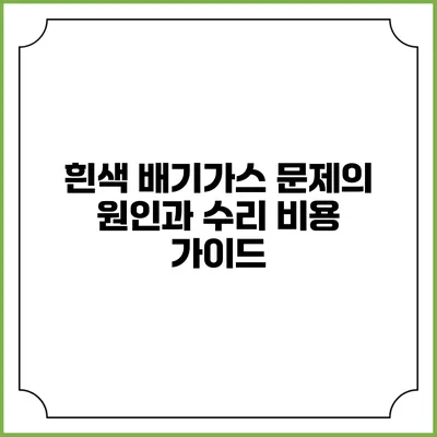 흰색 배기가스 문제의 원인과 수리 비용 가이드